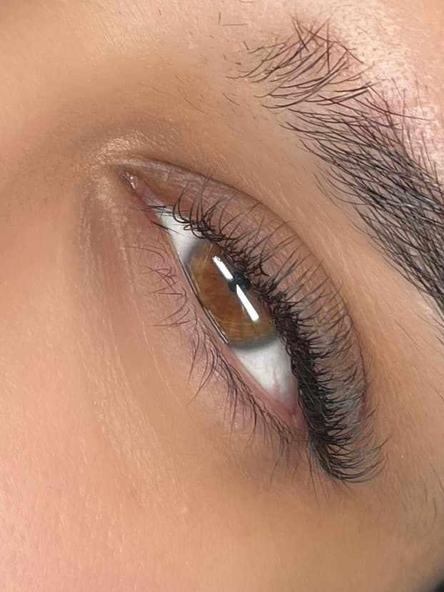 Your First Lash Appointment: What to Expect