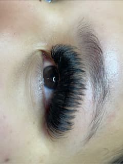 Mega Volume Lashes